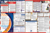 Indiana Labor Law Posters State and Federal Combo