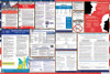 Kansas Labor Law Posters State and Federal Combo