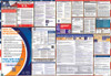 Massachusetts Labor Law Posters State and Federal Combo