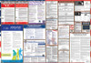 Michigan Labor Law Posters State and Federal Combo