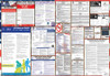 Michigan Labor Law Posters State and Federal Combo