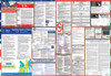 Michigan Labor Law Posters State and Federal Combo