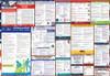 Minnesota Labor Law Posters State and Federal Combo