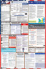 Missouri Labor Law Posters State and Federal Combo