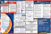 Montana Labor Law Posters State and Federal Combo