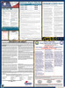 Nebraska State Labor Law Posters