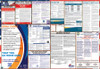 Nebraska Labor Law Posters State and Federal Combo