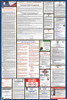 Nevada State Labor Law Posters