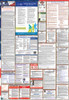 Nevada Labor Law Posters State and Federal Combo