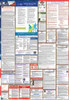 Nevada Labor Law Posters State and Federal Combo