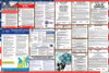 New Hampshire Labor Law Posters State and Federal Combo