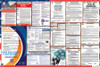 New Hampshire Labor Law Posters State and Federal Combo