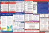 New Mexico Labor Law Posters State and Federal Combo