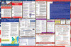 New Mexico Labor Law Posters State and Federal Combo New Mexico Labor Law Posters State and Federal Combo