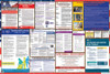 New Mexico Labor Law Posters State and Federal Combo