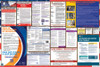 New Mexico Labor Law Posters State and Federal Combo