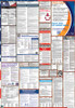 New York Labor Law Posters State and Federal Combo