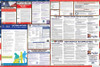 North Carolina Labor Law Posters State and Federal Combo North Carolina Labor Law Posters State and Federal Combo