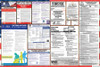 North Dakota Labor Law Posters State and Federal Combo