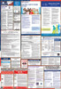 Ohio Labor Law Posters State and Federal Combo