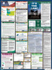 Oregon State Labor Law Posters