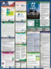 Oregon State Labor Law Posters