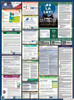 Oregon State Labor Law Posters
