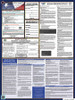 South Carolina State Labor Law Posters