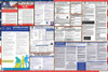 South Carolina Labor Law Posters State and Federal Combo South Carolina Labor Law Posters State and Federal Combo
