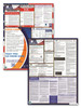 South Carolina State and Federal Poster Set