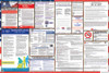 Tennessee Labor Law Posters State and Federal Combo