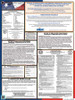 Texas State Labor Law Posters