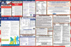 Texas Labor Law Posters State and Federal Combo