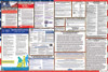 Texas Labor Law Posters State and Federal Combo