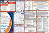 Texas Labor Law Posters State and Federal Combo