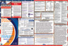 Texas Labor Law Posters State and Federal Combo
