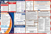 Texas Labor Law Posters - State & Federal Combo