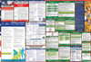 Vermont Labor Law Posters State and Federal Combo