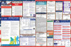 Virginia Labor Law Posters State and Federal Combo