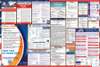 Virginia Labor Law Posters State and Federal Combo
