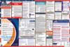 Virginia Labor Law Posters State and Federal Combo
