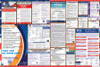 Virginia Labor Law Posters State and Federal Combo