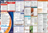 Washington Labor Law Posters State and Federal Combo