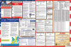 West Virginia Labor Law Posters State and Federal Combo