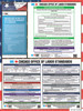 Chicago, Illinois Complete City Ordinance Supplement Poster