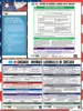 Chicago, Illinois Complete City Ordinance Supplement Poster