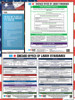 Chicago, Illinois Complete City Ordinance Supplement Poster