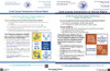 Cook County, Illinois Complete County Ordinance Supplement Poster