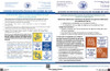 Cook County, Illinois Complete County Ordinance Supplement Poster