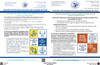 Cook County, Illinois Complete County Ordinance Supplement Poster
